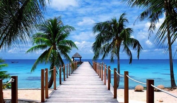 flights to India from Canada