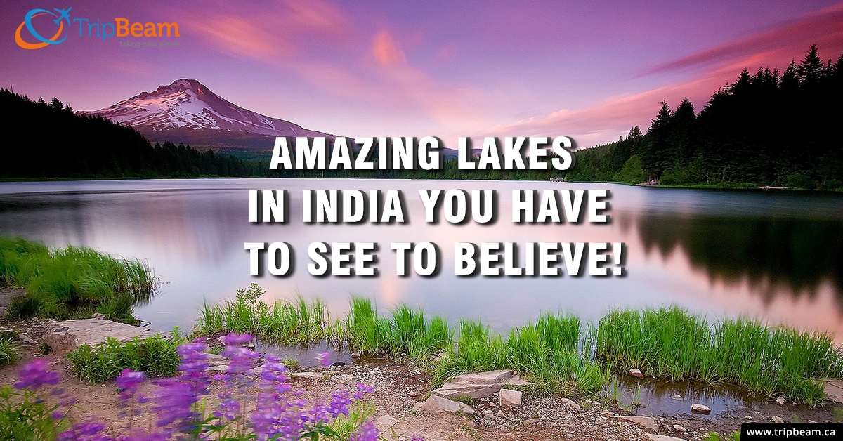 Top 5 Mesmerizing Lakes in India to Visit