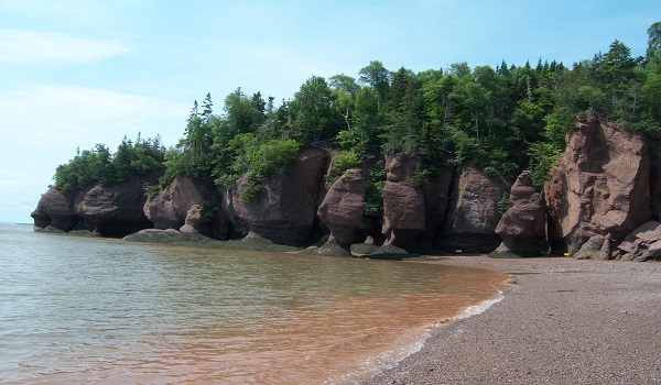 flights from Delhi to Toronto
