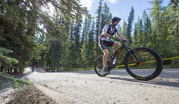 flights from Delhi to Toronto