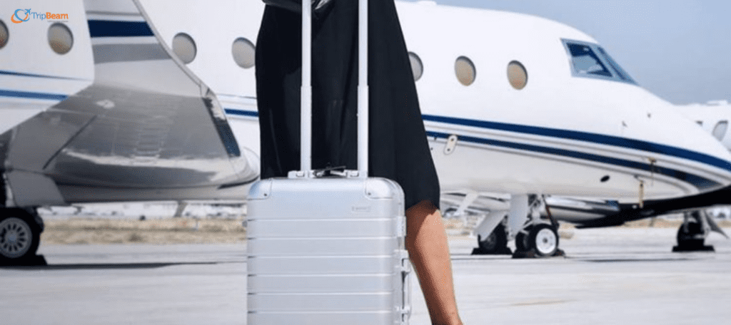 tips for traveling to india on business, travel to india, traveling to india checklist, india tips and tricks, planning a trip to india, travel advisory for indian citizens, do not travel to india, travelling to india vaccinations