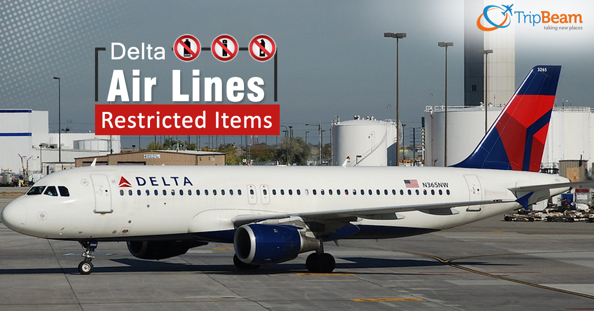 All You Need To Know About Delta Air Lines Restricted Items