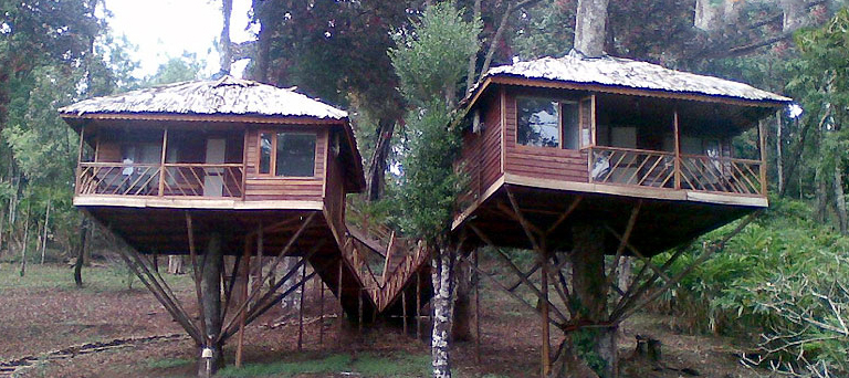 Nature Zone Resort, Munnar, Kerala