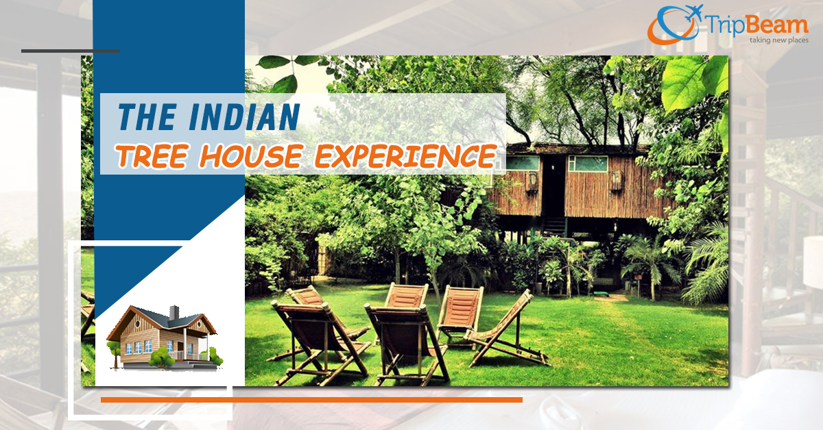 8 Best Tree-house Experiences In India