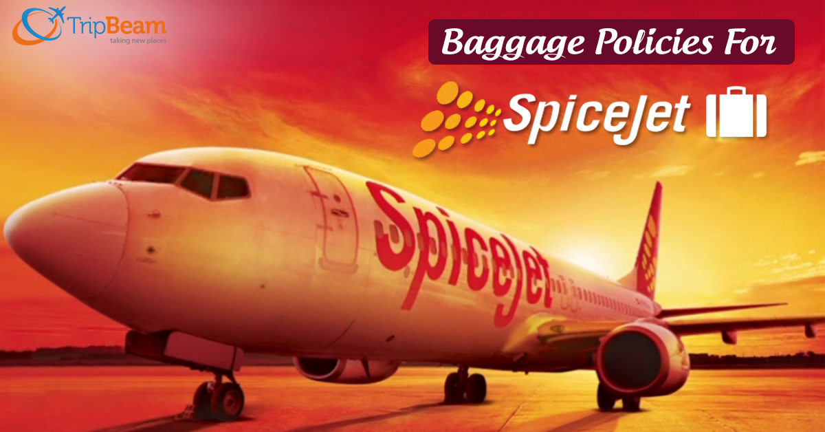 Services and Baggage Policy for SpiceJet
