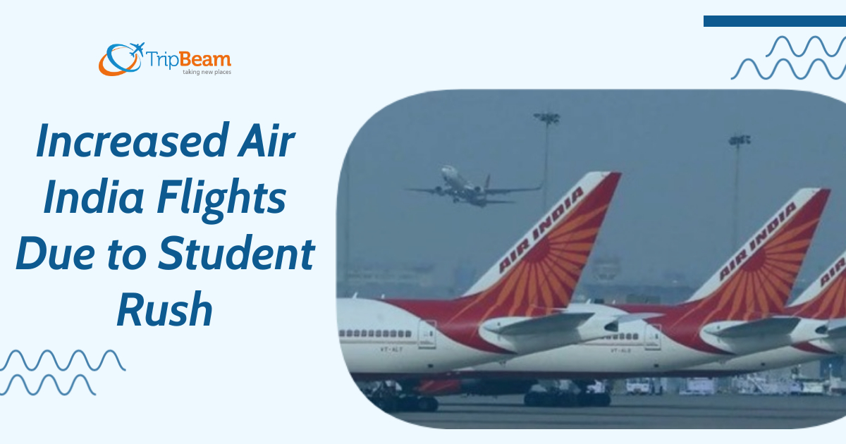 Increased Air India Flights Due to Student Rush