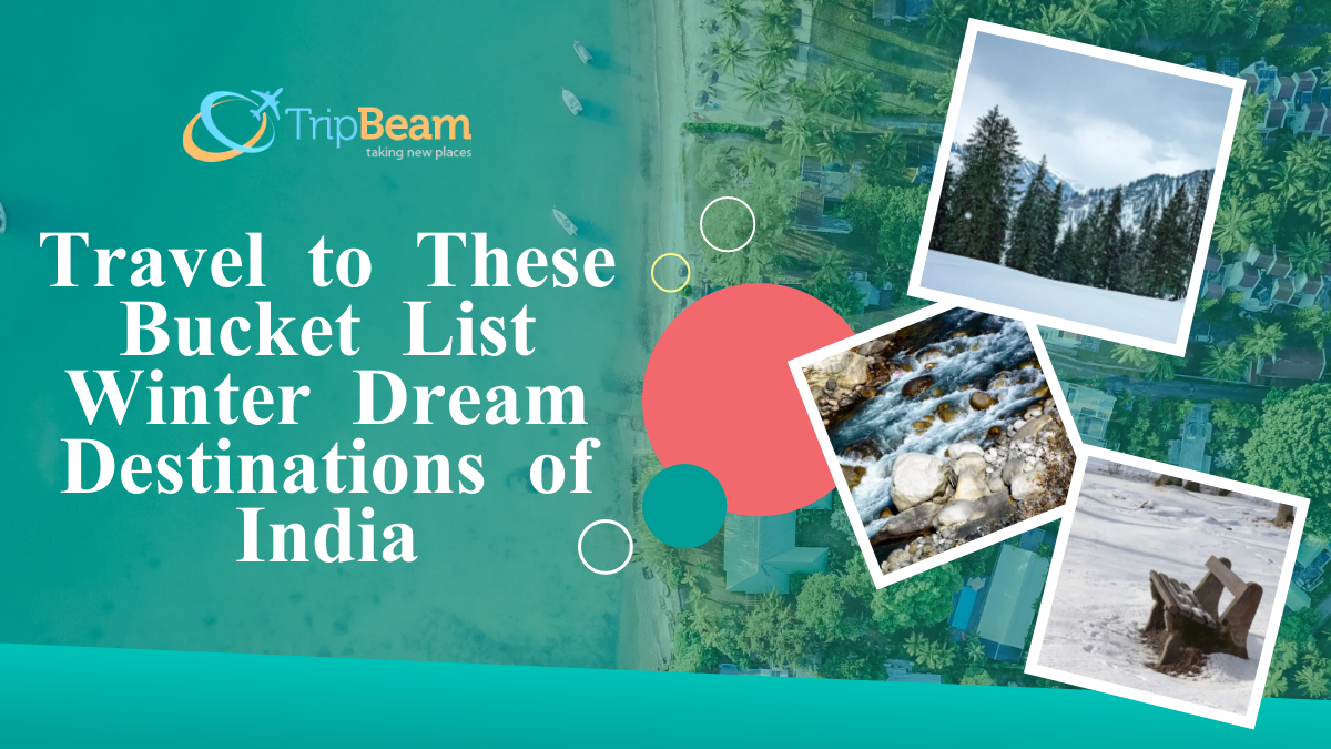 Travel to These Bucket List Winter Dream Destinations of India