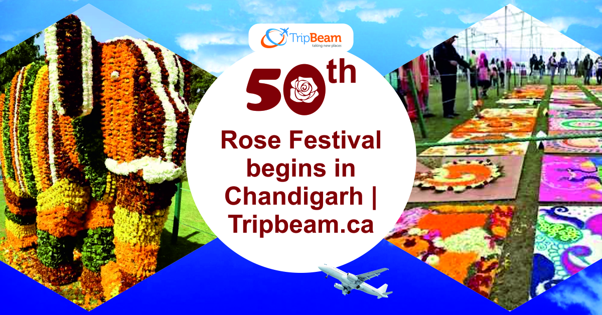 50th Rose Festival begins in Chandigarh | Tripbeam.ca