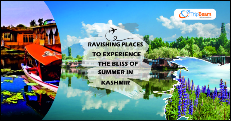 summer vacation in kashmir essay