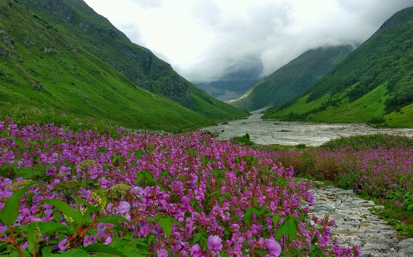 Valleys of Flowers Trek, Uttarakhand