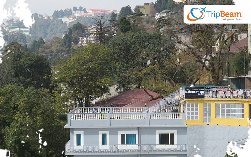 Macquary Inn Homestay