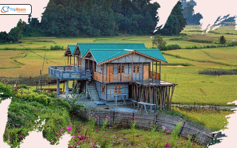 Ziro Arunachal Pradesh