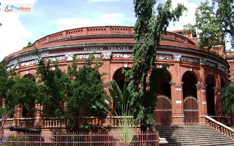 Discover Your Inner Heritage Passion by Visiting the Government Museum Egmore Museum