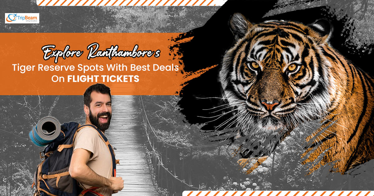Explore Ranthambore’s Tiger Reserve Spots With Best Deals On Flight Tickets