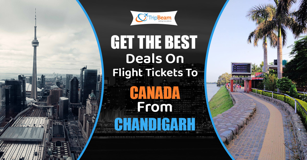 Get the Best deals on flight tickets to Canada from Chandigarh