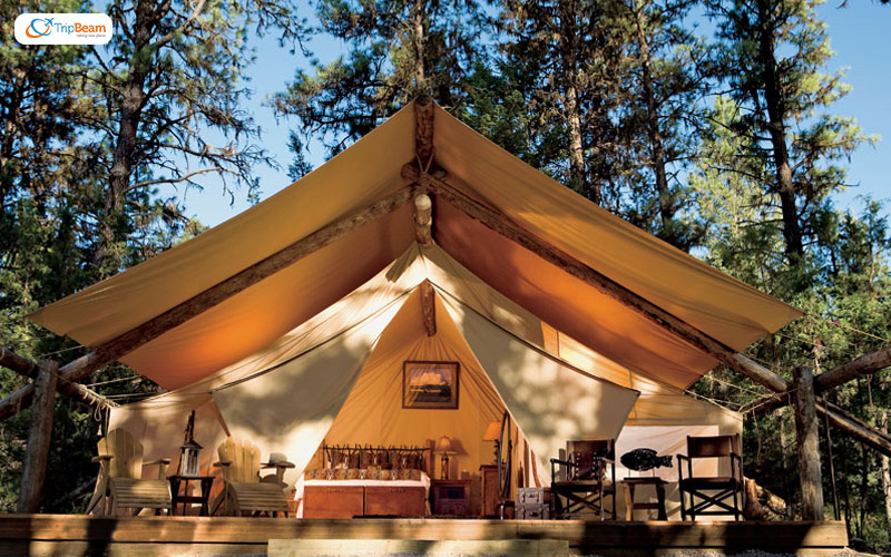 Get Glamorous While Camping