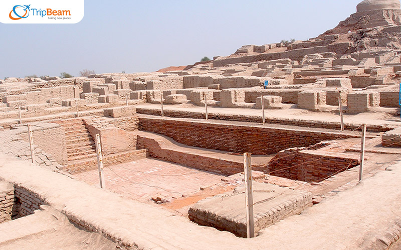 The Advanced Ploughed Fields of Kalibangan Rajasthan