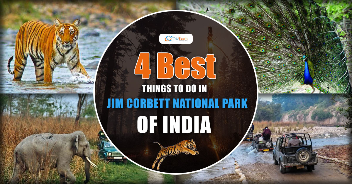4 Best Things to Do in Jim Corbett National Park of India