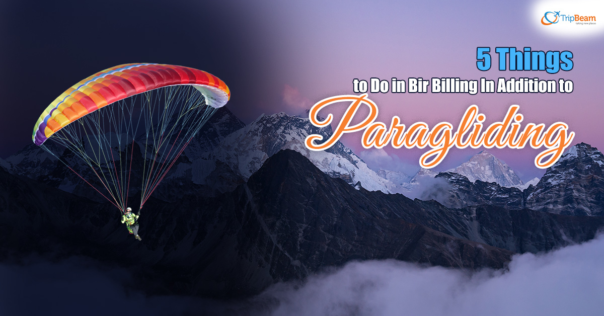 5 Things to Do in Bir Billing In Addition to Paragliding
