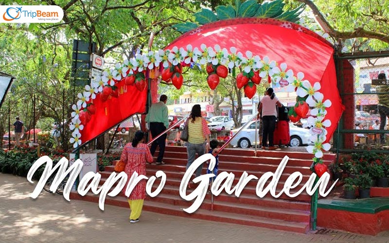 Marpo-Gardens