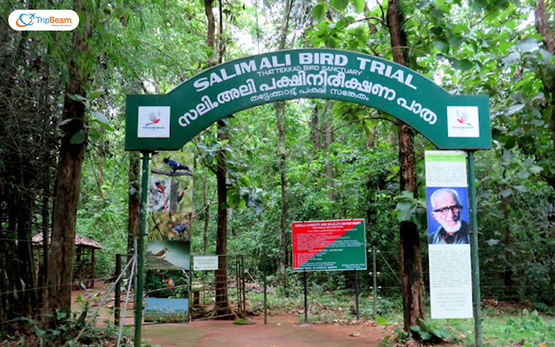 Thattekkad Bird Sanctuary Kerala
