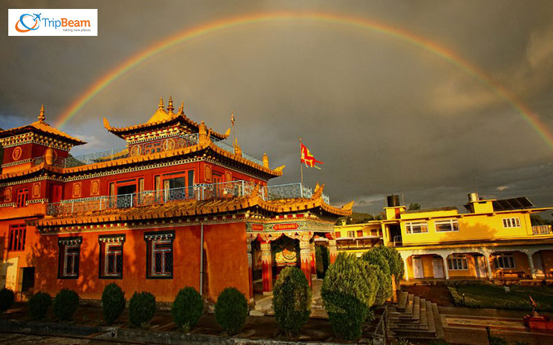 The mystic Deer Park Institute