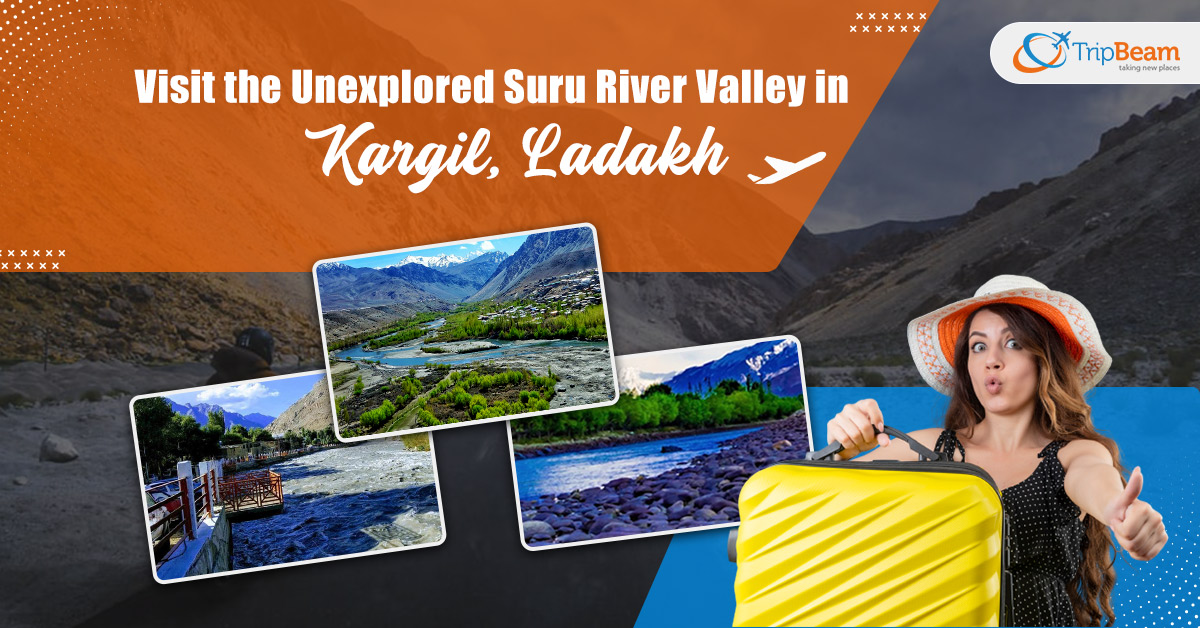 Visit The Unexplored Suru River Valley in Kargil, Ladakh