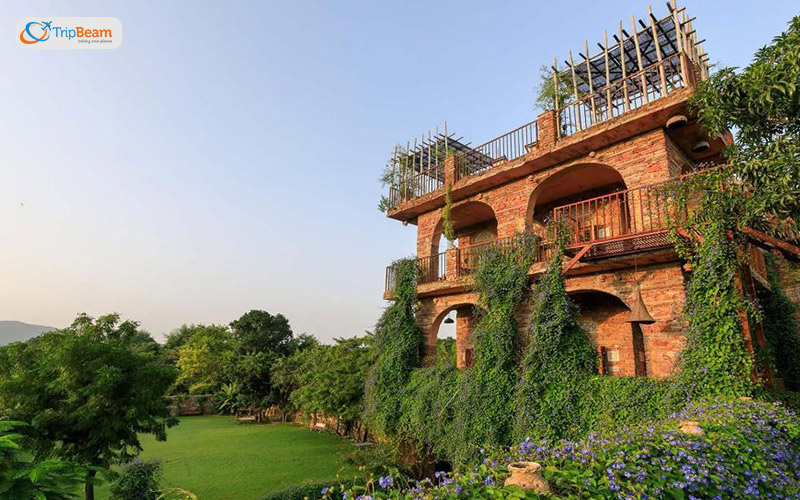 Chilling stay at the garden of dreams by barasingha luxury