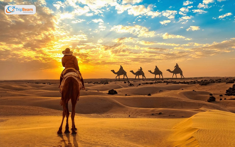 Sunset at dharma camel safari