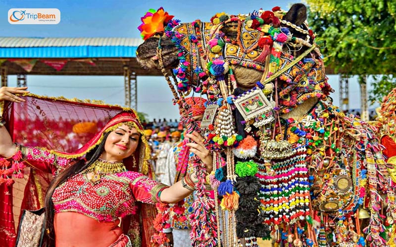 The enchanting Pushkar Mela
