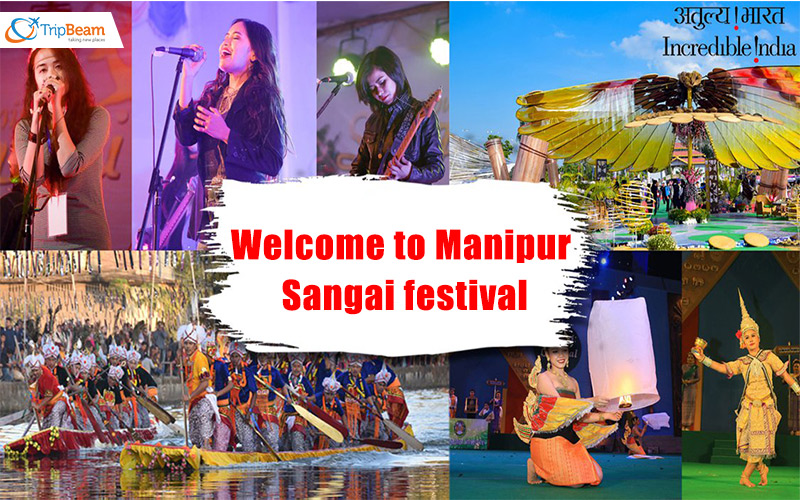 Welcome to Manipur Sangai festival