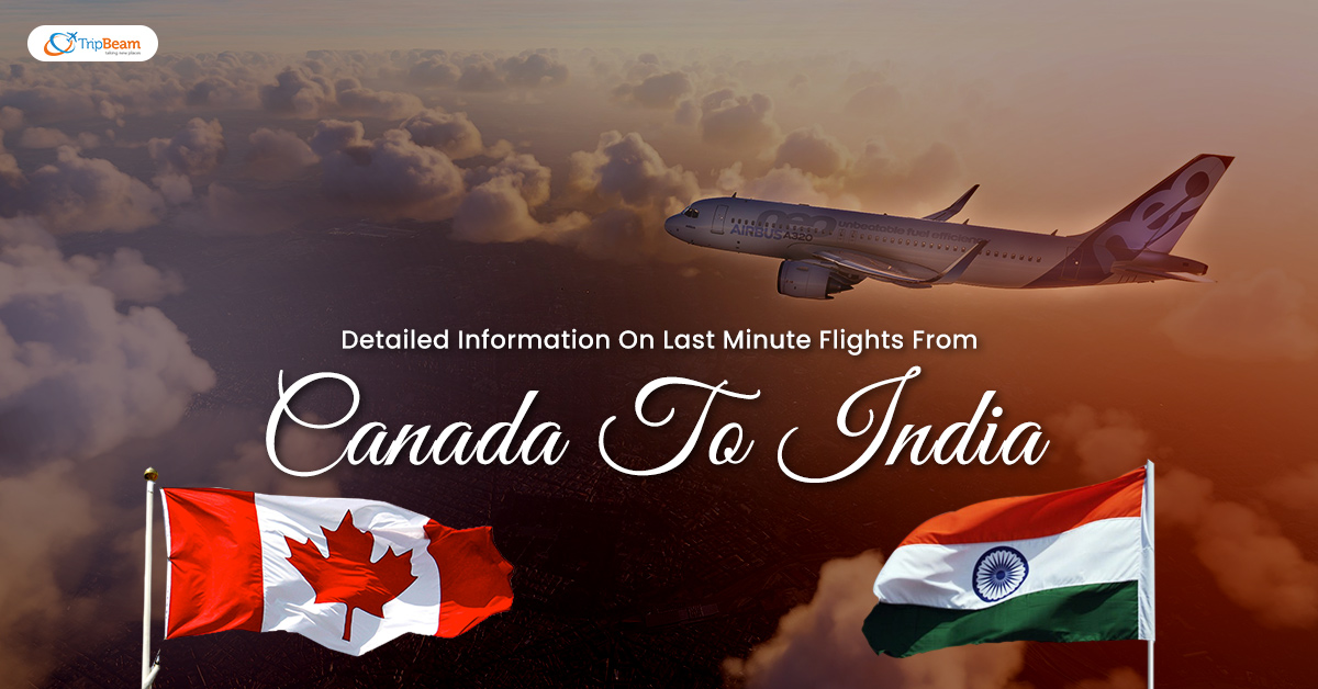 Detailed Information On Last Minute Flights From Canada To India - Tripbeam CA