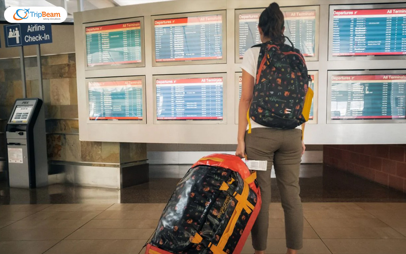 How can I get out of the airport while I have a layover