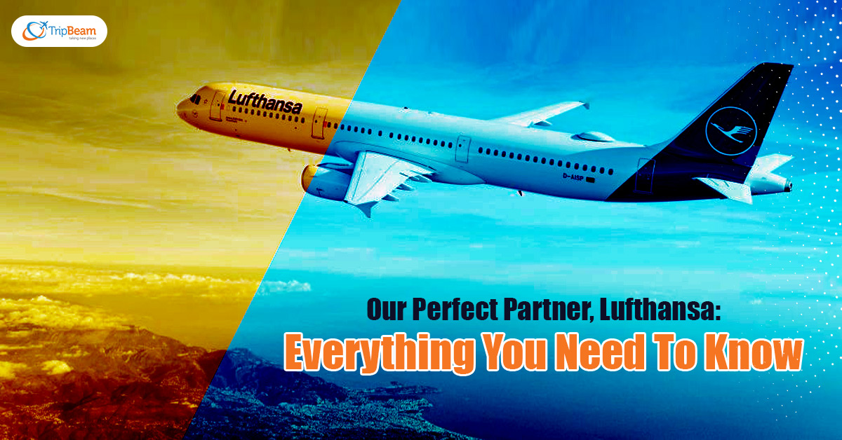 Our Perfect Partner, Lufthansa: Everything You Need To Know