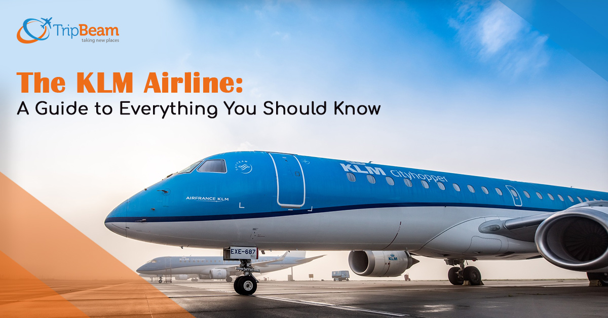 The KLM Airline: A Guide to Everything You Should Know