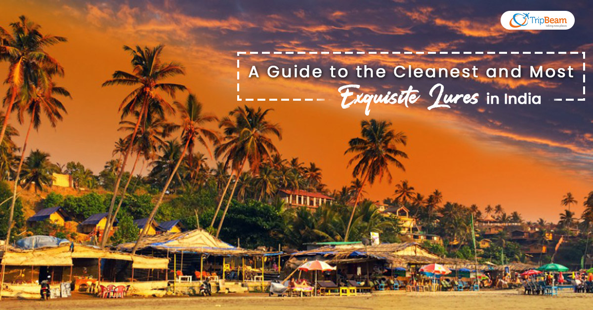 A Guide to the Cleanest and Most Exquisite Lures in India
