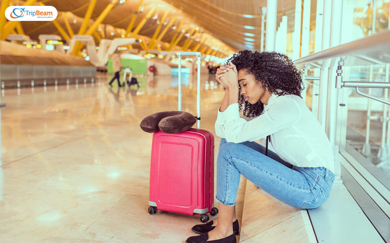 Airline Cancels Your Flight Airline Cancels Your Flight