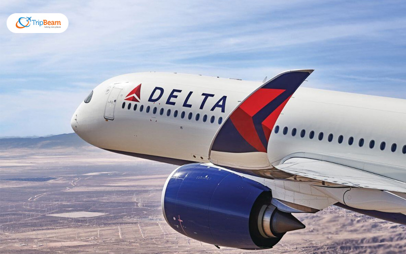Delta Airlines Delta Airlines