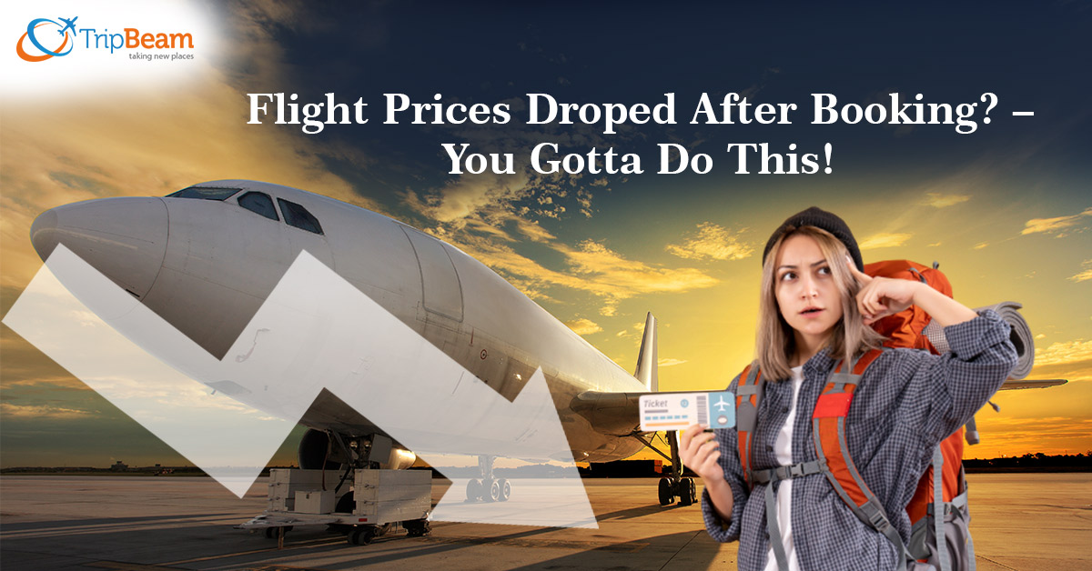 Flight Prices Droped After Booking? – You Gotta Do This!