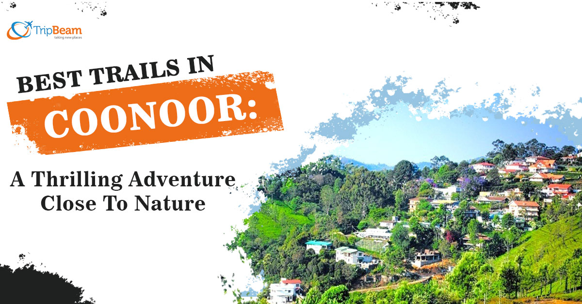 Best Trails in Coonoor: A Thrilling Adventure Close To Nature