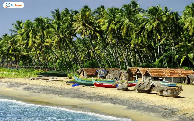 Travel Guide to Goa Beach