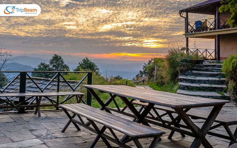 Binsar