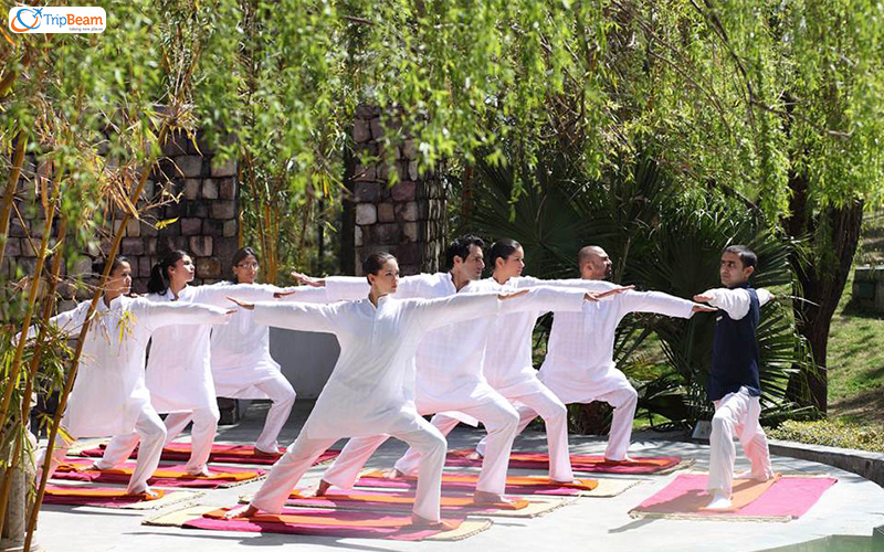 Ananda – Himalayas