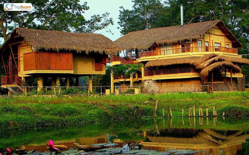 Diphlu River Lodge @Assam