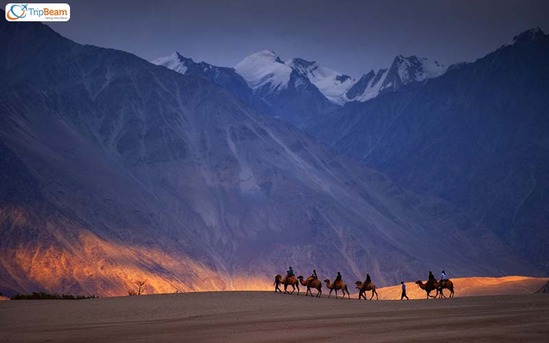 Nubra Valley