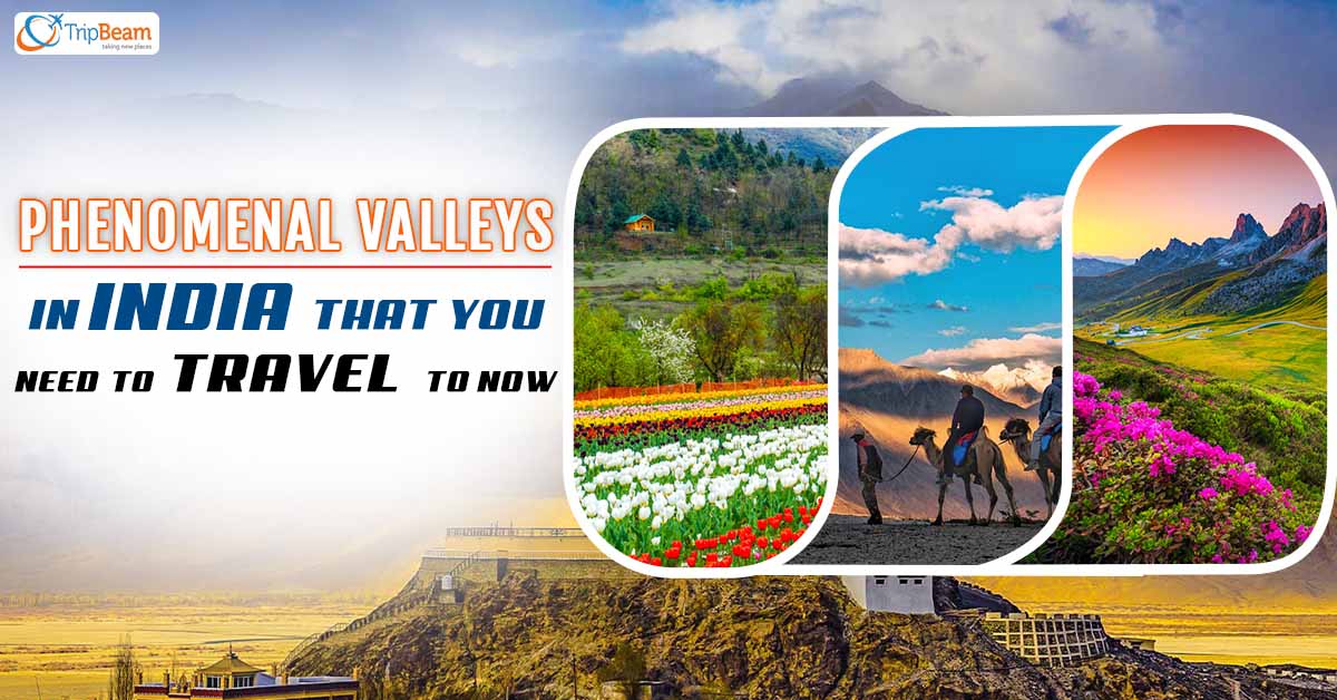Phenomenal Valleys In India That You Need To Travel To Now
