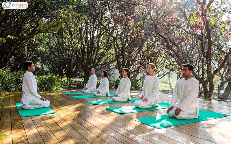 Vana Dehradun Uttarakhand