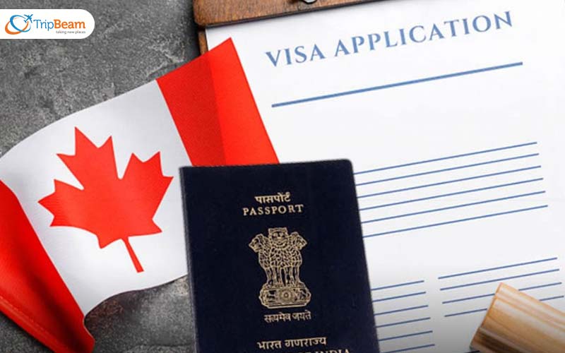 What types of visas are available for Canadian citizens