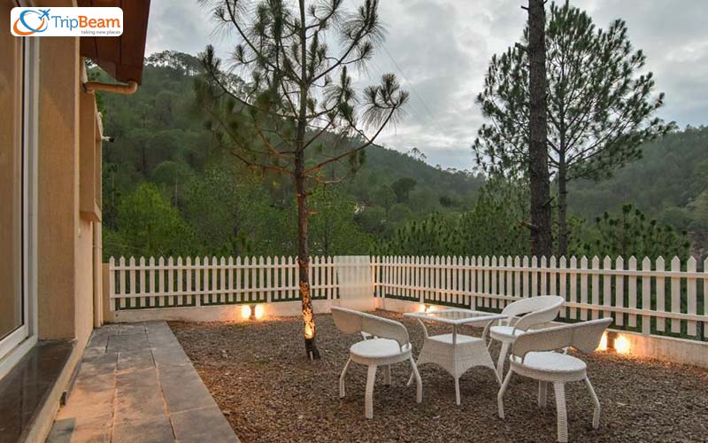 homestays in India Jungle Lodge Shimla