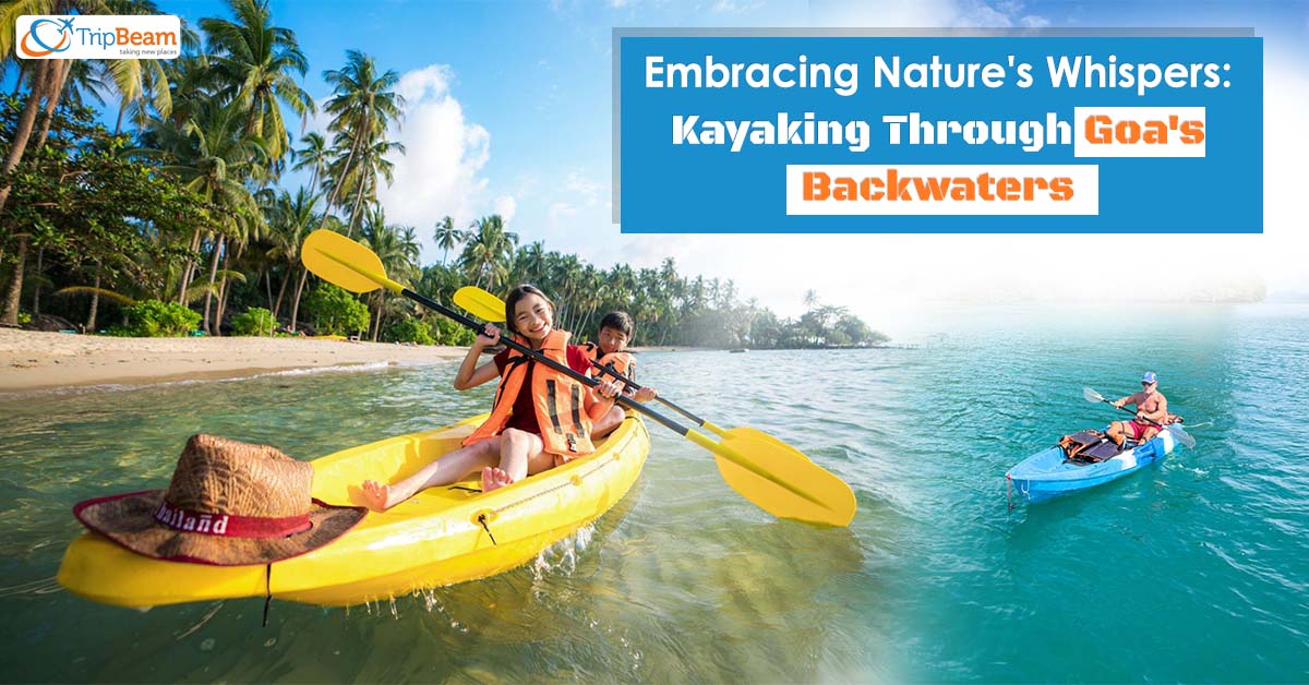 Embracing Nature’s Whispers: Kayaking Through Goa’s Backwaters